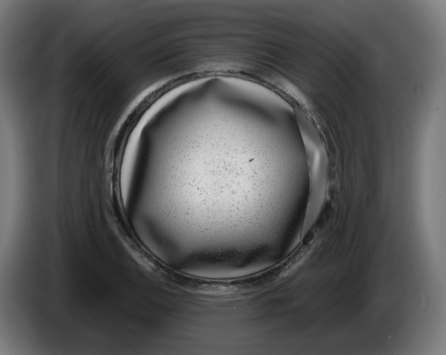X0000086241124200704191815