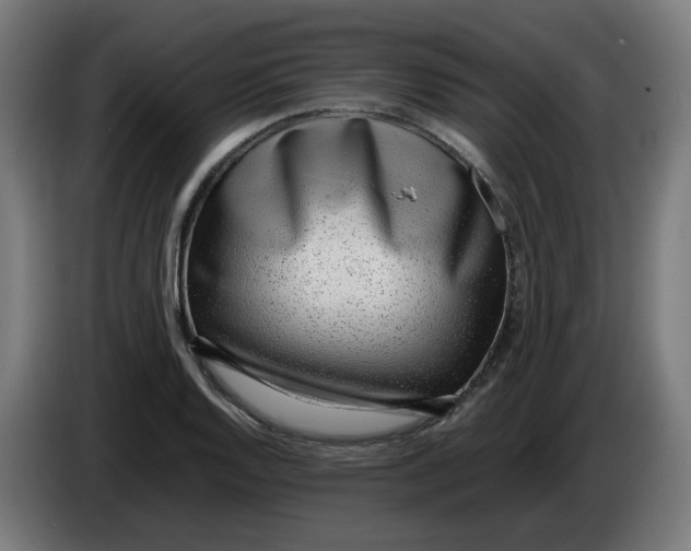 X0000086241128200704191815