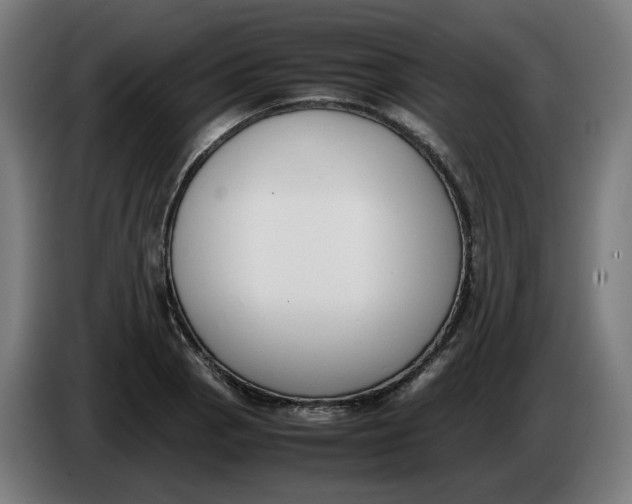X0000086241129200704191815