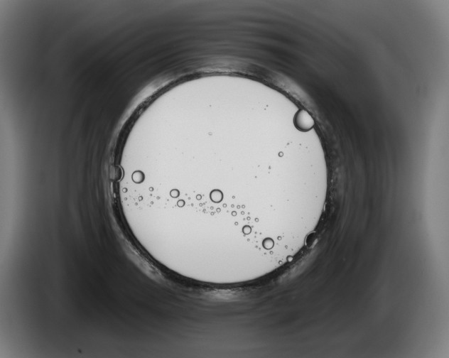 X0000086241130200704191815