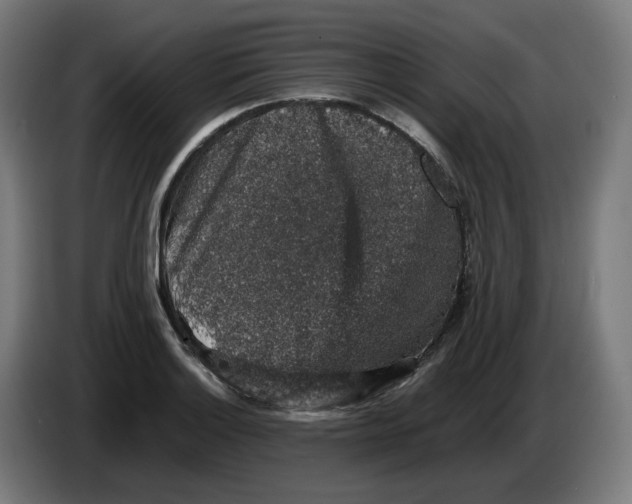 X0000086241132200704191815