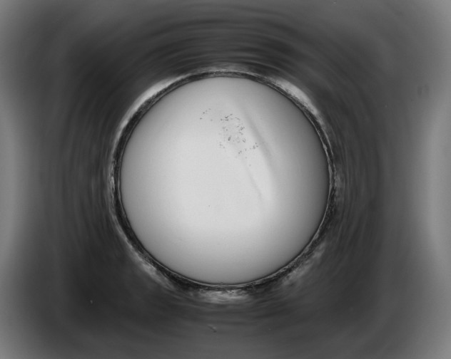X0000086241133200704191815