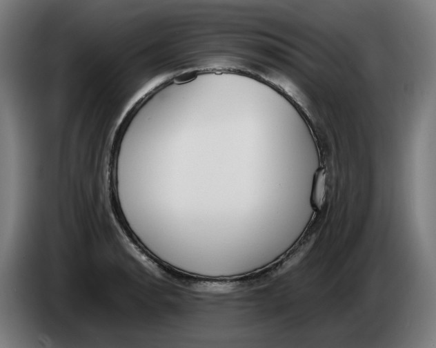 X0000086241134200704191815