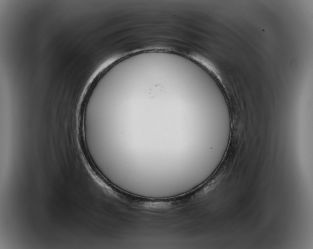 X0000086241135200704191815