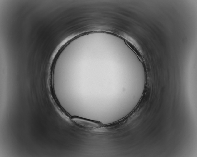 X0000086241136200704191815