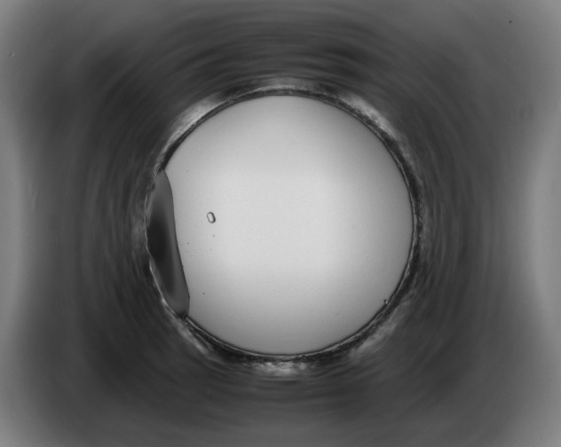 X0000086241137200704191815
