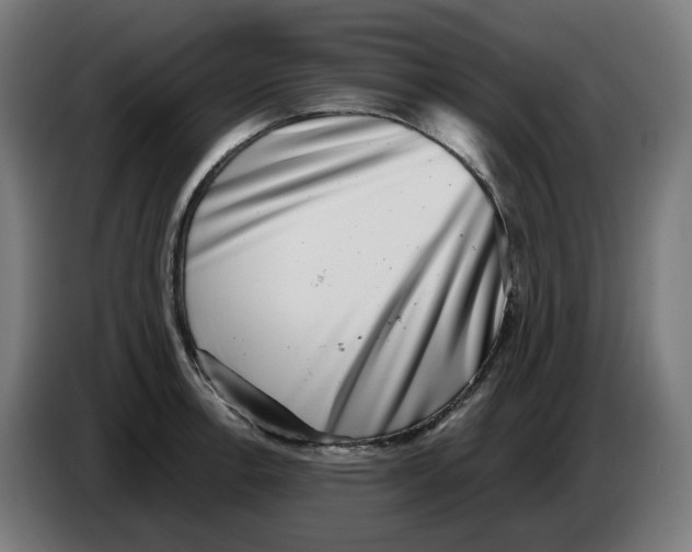 X0000086241138200704191815