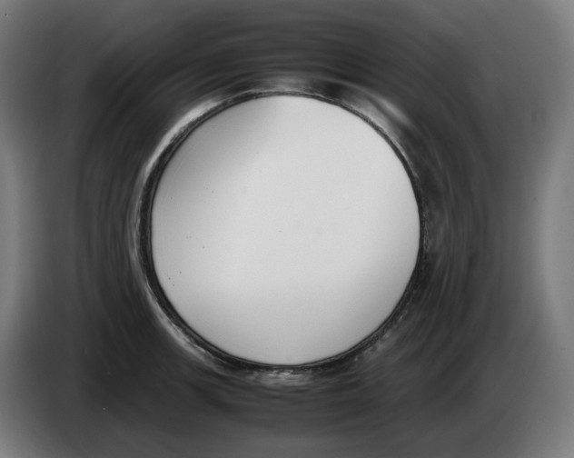 X0000086241139200704191815