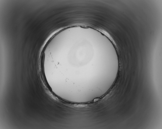 X0000086241140200704191815