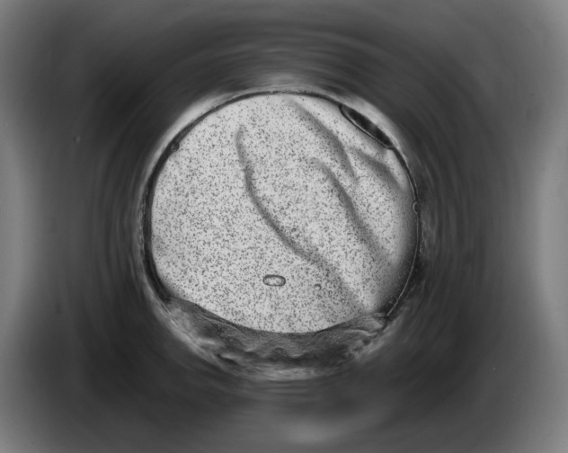 X0000086241142200704191815