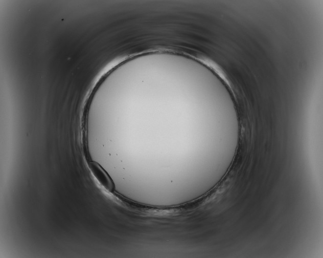 X0000086241143200704191815