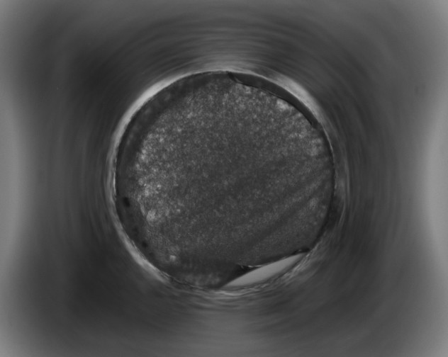 X0000086241144200704191815