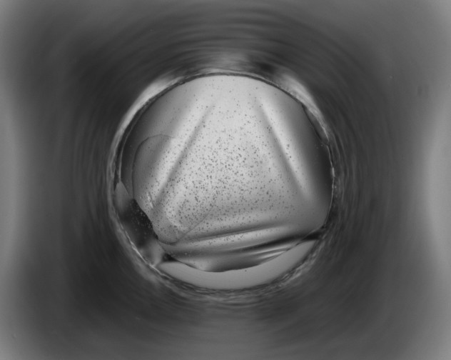 X0000086241146200704191815
