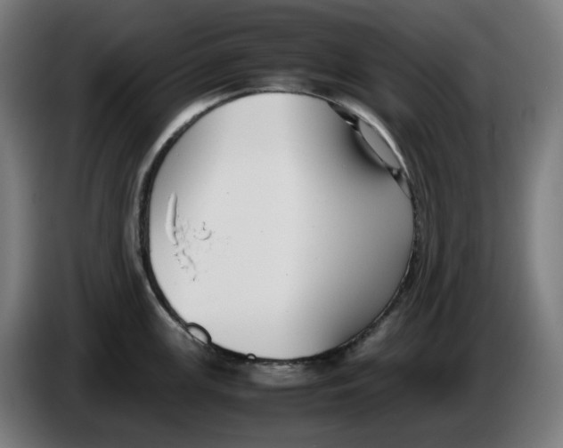 X0000086241147200704191815