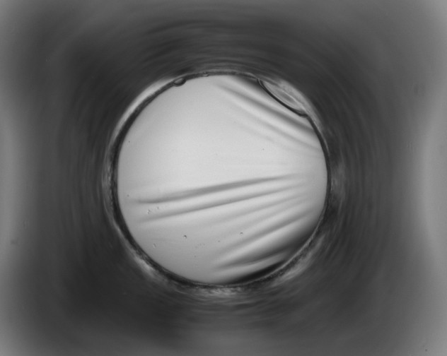 X0000086241149200704191815