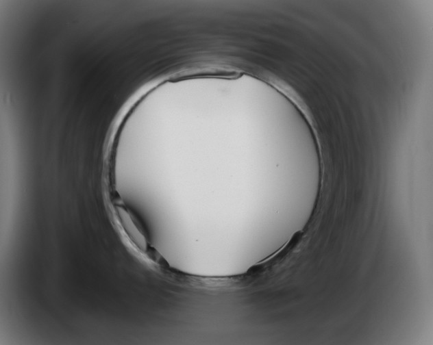 X0000086241152200704191816