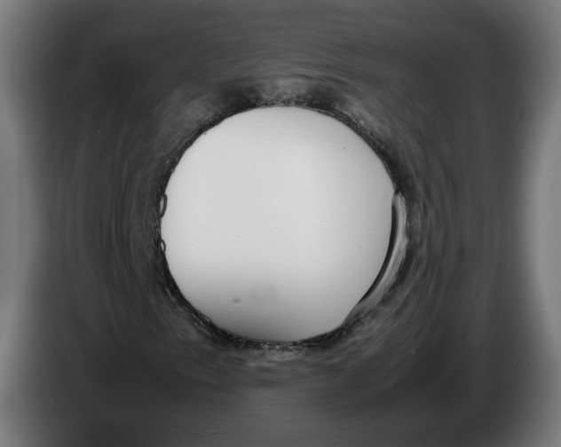 X0000086241153200704191815