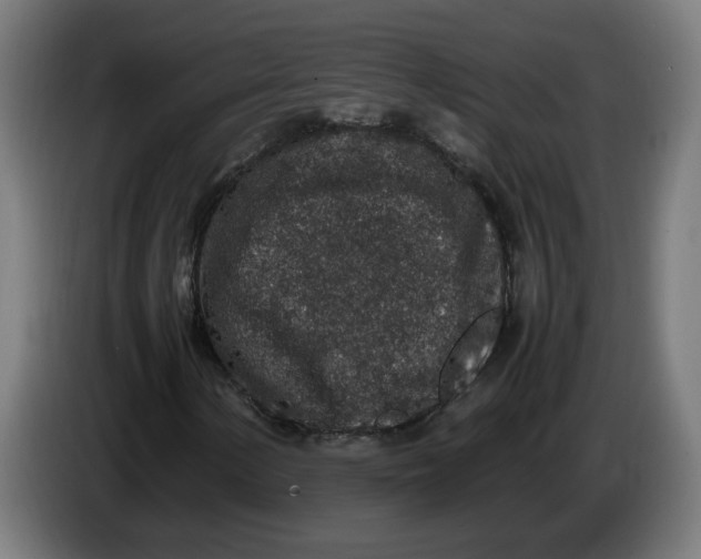 X0000086241154200704191815