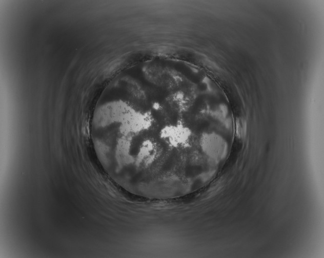 X0000086241155200704191815