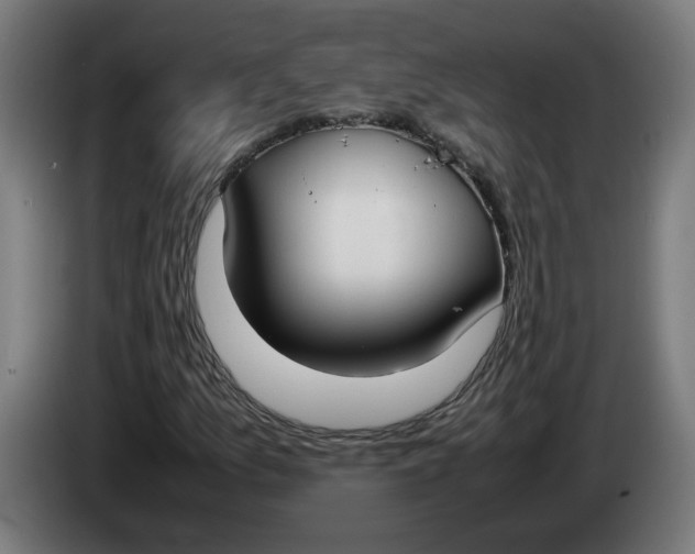 X0000086241157200704191815