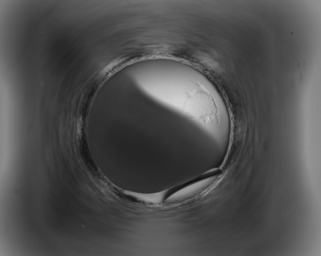 X0000086241161200704191815