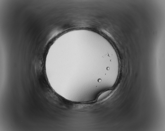X0000086241163200704191815