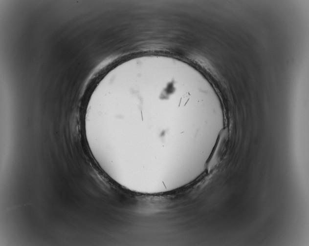 X0000086241164200704191815