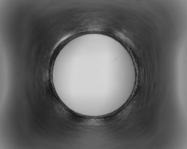 X0000086241166200704191815