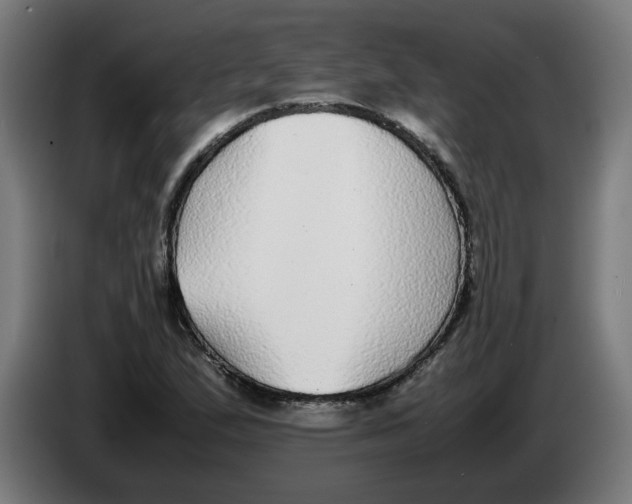 X0000086241167200704191815