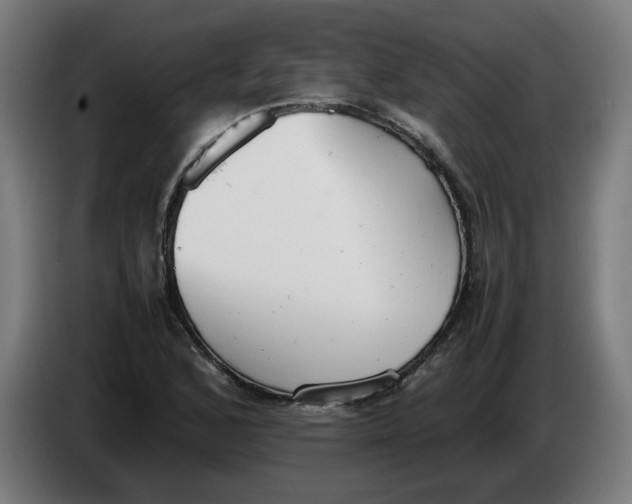 X0000086241168200704191815