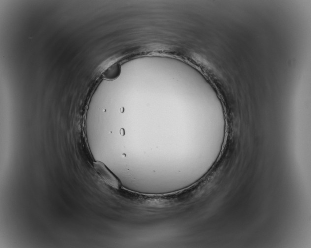 X0000086241169200704191815