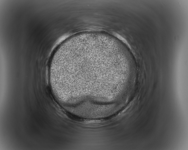 X0000086241171200704191815