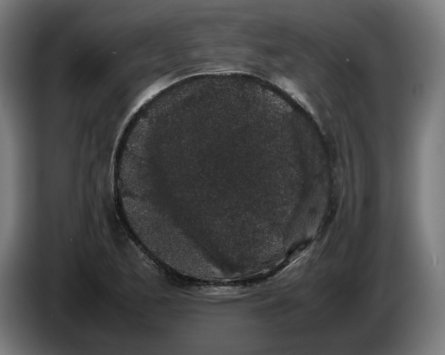 X0000086241173200704191815