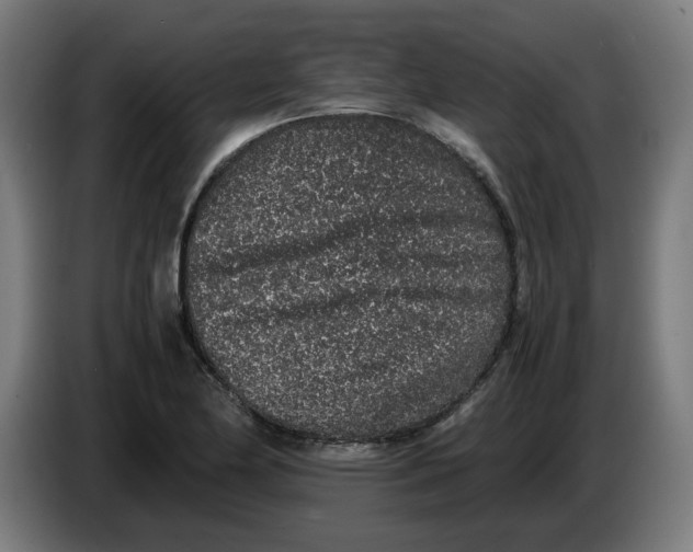 X0000086241174200704191815