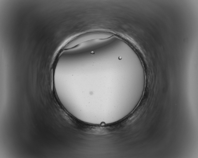 X0000086241175200704191815