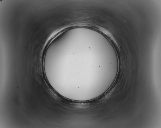 X0000086241176200704191815