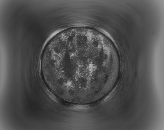 X0000086241179200704191814
