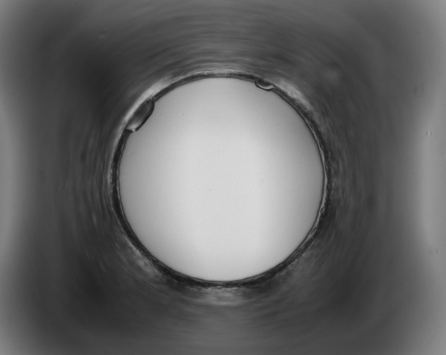 X0000086241181200704191814