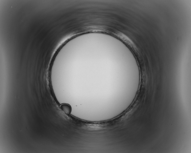 X0000086241182200704191814