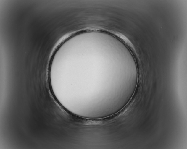 X0000086241183200704191814