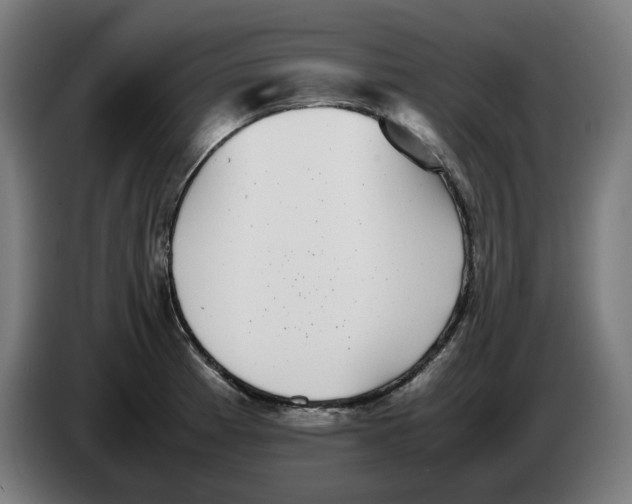 X0000086241185200704191814