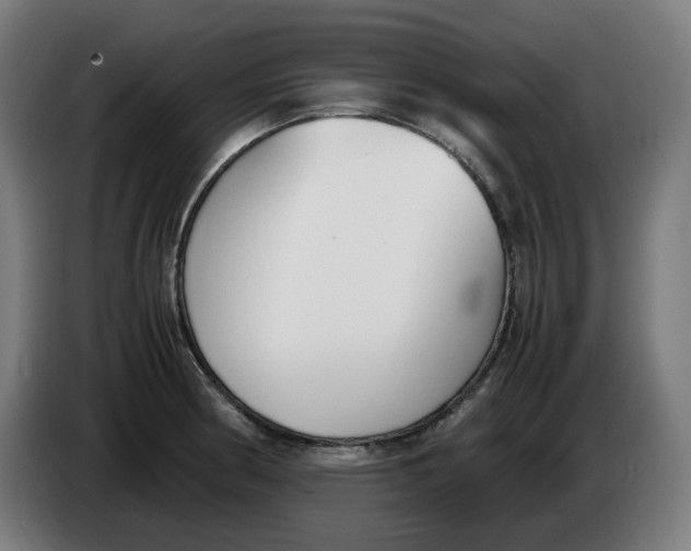 X0000086241186200704191814