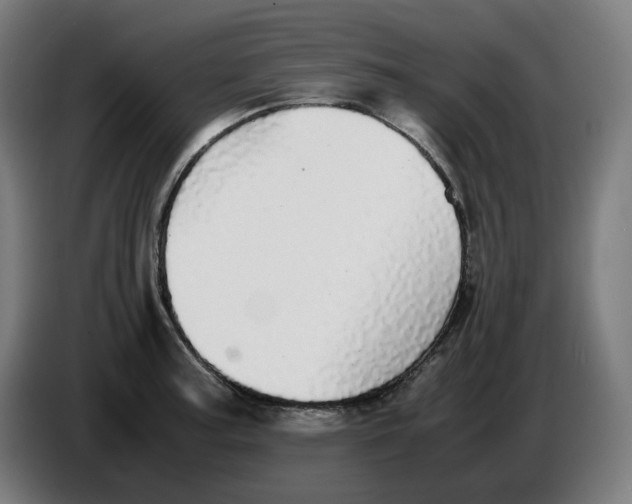 X0000086241187200704191814