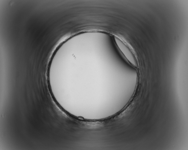 X0000086241189200704191814
