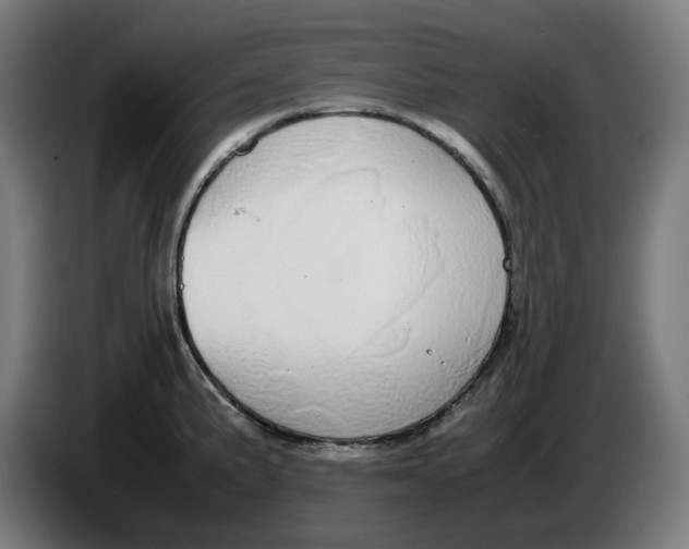 X0000086241191200704191814