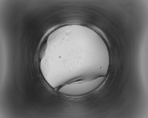 X0000086241192200704191814