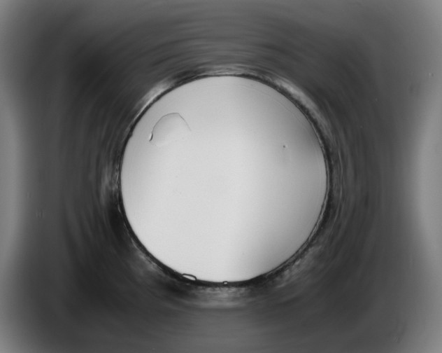 X0000086241193200704191814