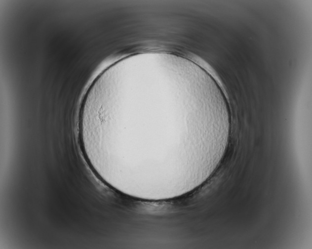 X0000086241195200704191814