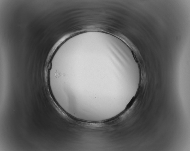 X0000086241196200704191814