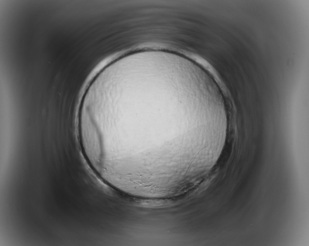 X0000086241199200704191814